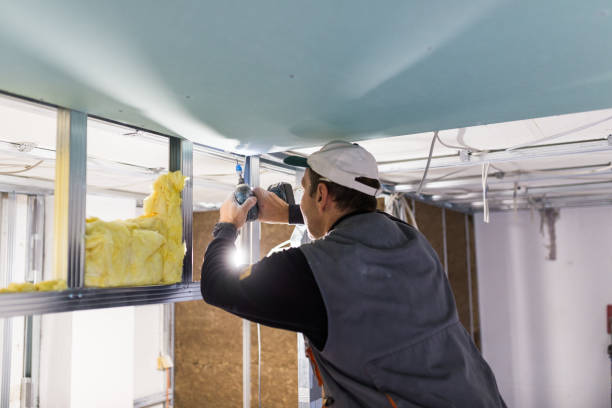 Best Eco-Friendly Insulation in Norway, MI